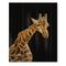 Designart - Portrait of A Giraffe VI - Farmhouse Print on Natural Pine Wood